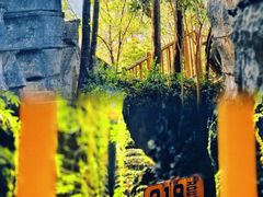 -梭布垭石林景区