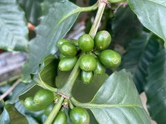 -后谷咖啡(建设巷店)