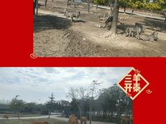 -上海野生动物园