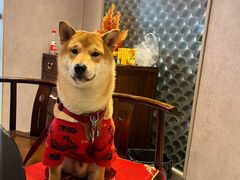 -鼎盛山海火锅(北戴河刘庄夜市老虎石浴场店)