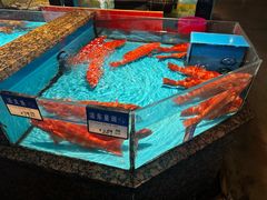 -拉完海鲜大排档(温岭店)