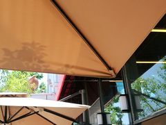 露天位-了不起的考拉咖啡店(高新店)