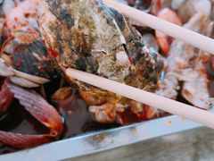 -晓伟海鲜家常菜