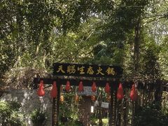 -天赐温泉