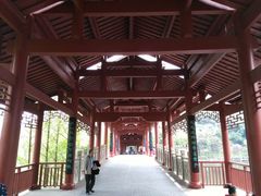-重庆彩云湖湿地公园