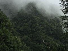 -永泰中国云顶