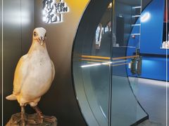 -琬苑鸽庄·川粤融合菜(解放碑总店)