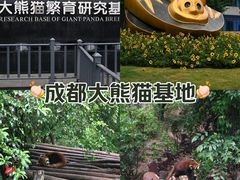 -成都大熊猫繁育研究基地