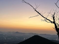 -紫金山山顶公园