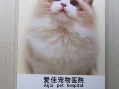 -爱佳宠物中心医院·骨外科·猫专科·急重症(瑶海万达店)