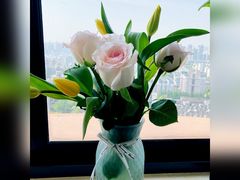 -双季花艺园艺市场(浦东店)