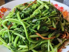 -七寻八找·胡同菜