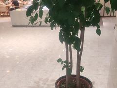 -杭州开元名都大酒店·地中海自助餐厅