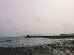 -栈桥景区
