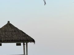 -涠洲岛南湾海洋运动公园