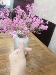 -威思丽高温瑜伽会馆