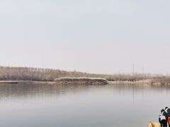 -丁香湖公园