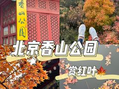 -香山公园