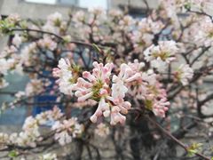-西宁市人民公园(城西区)