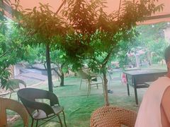 -正宗火盆自助烧烤·烤全羊·柴火鸡(龙泉山店)