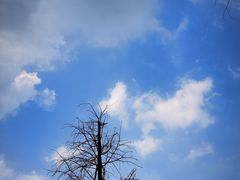 -南国桃园旅游度假区