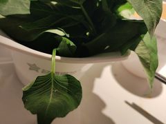 -名扬煮艺肥牛自助火锅(同和店)
