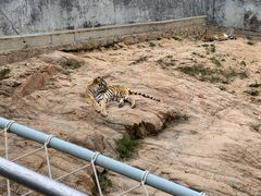 -西霞口神雕山野生动物世界