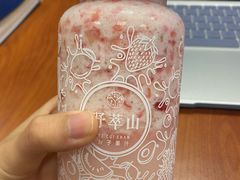 -野萃山·潮汕厚果汁(十亩地店)