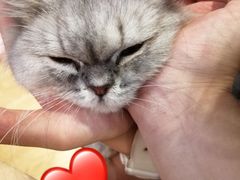 -万小咖.猫咖(中山路天虹店)