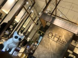 -OnHair Salon