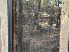 -绮园景区