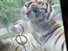 -栾川竹海野生动物园