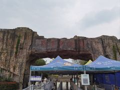 -合肥野生动物园