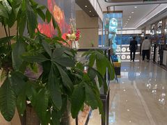 -粤珍轩·家宴·广式茶点(新城广场店)