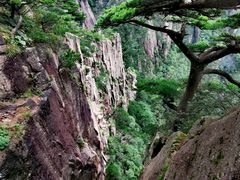 -黄山风景区