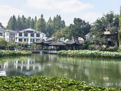 -朴墅(西湖青芝坞店·杭帮菜·家宴.14年的店)