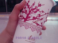四季春茶-1点点(长龙地铁店)