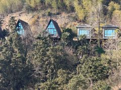 -长沙黑麋峰国家森林公园