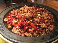 -天山醉美辣子鸡(文艺路店)