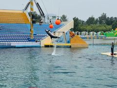 -秦皇岛乐岛海洋王国