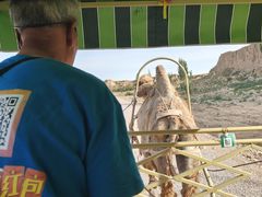 -水洞沟旅游区