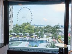 -新加坡文华东方酒店