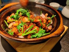 干锅走地鸡煲-鹊玥·粤菜小馆(汇智国际商业中心店)