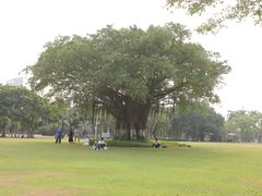 -万绿园