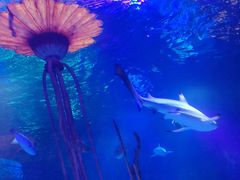 -沈阳海洋探索中心