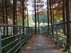 -尚贤河湿地