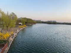 -大兴滨河森林公园