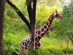 -北京野生动物园