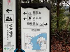 -酒仙湖景区
