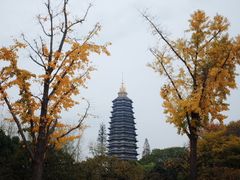 -红梅公园